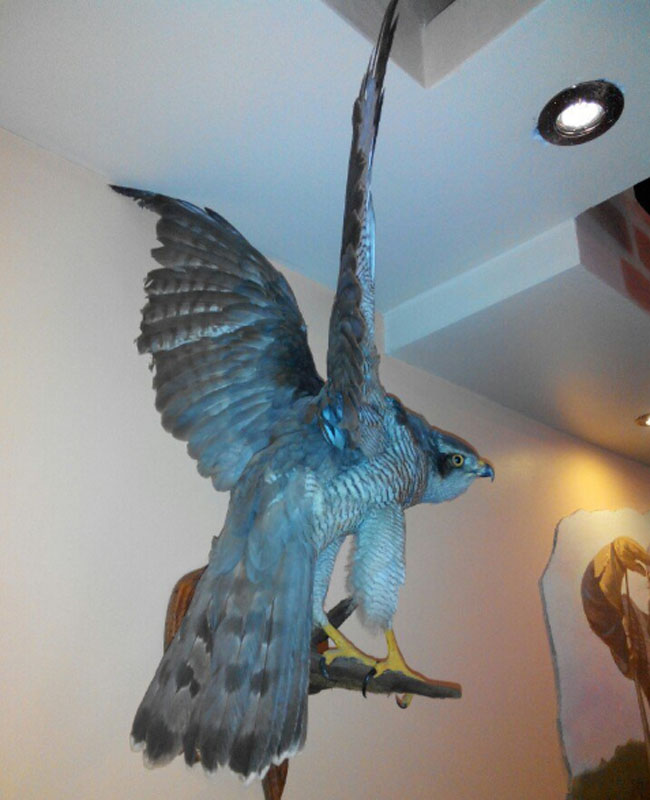 Основной зал — Старая крепость