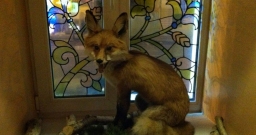 Основной зал — фото 4