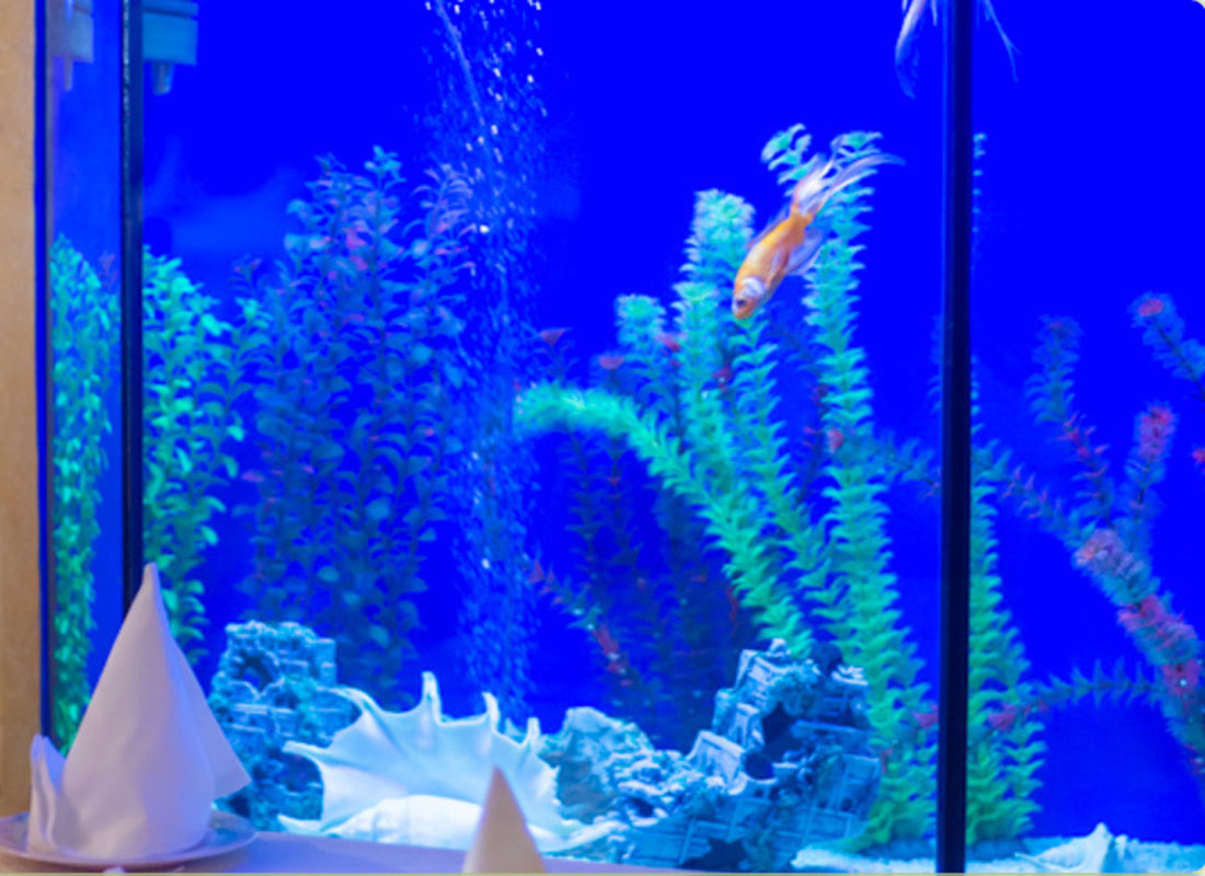 Основной зал — фото 11