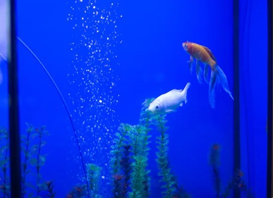 Основной зал