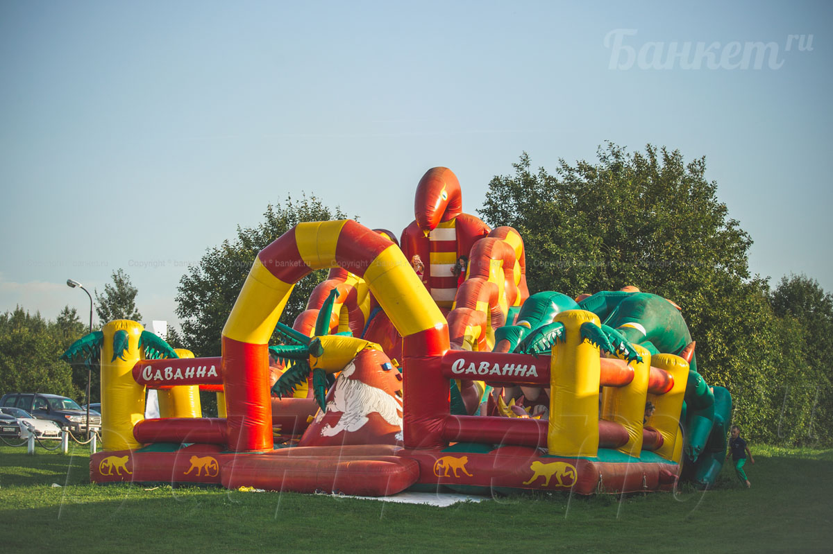 Шатёр 400 кв.м — фото 4