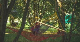 Шатёр (100 кв.м.) в зелёной зоне — фото 5