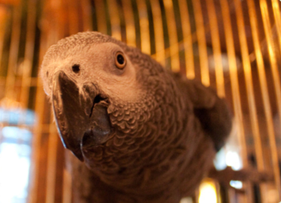 Основной зал