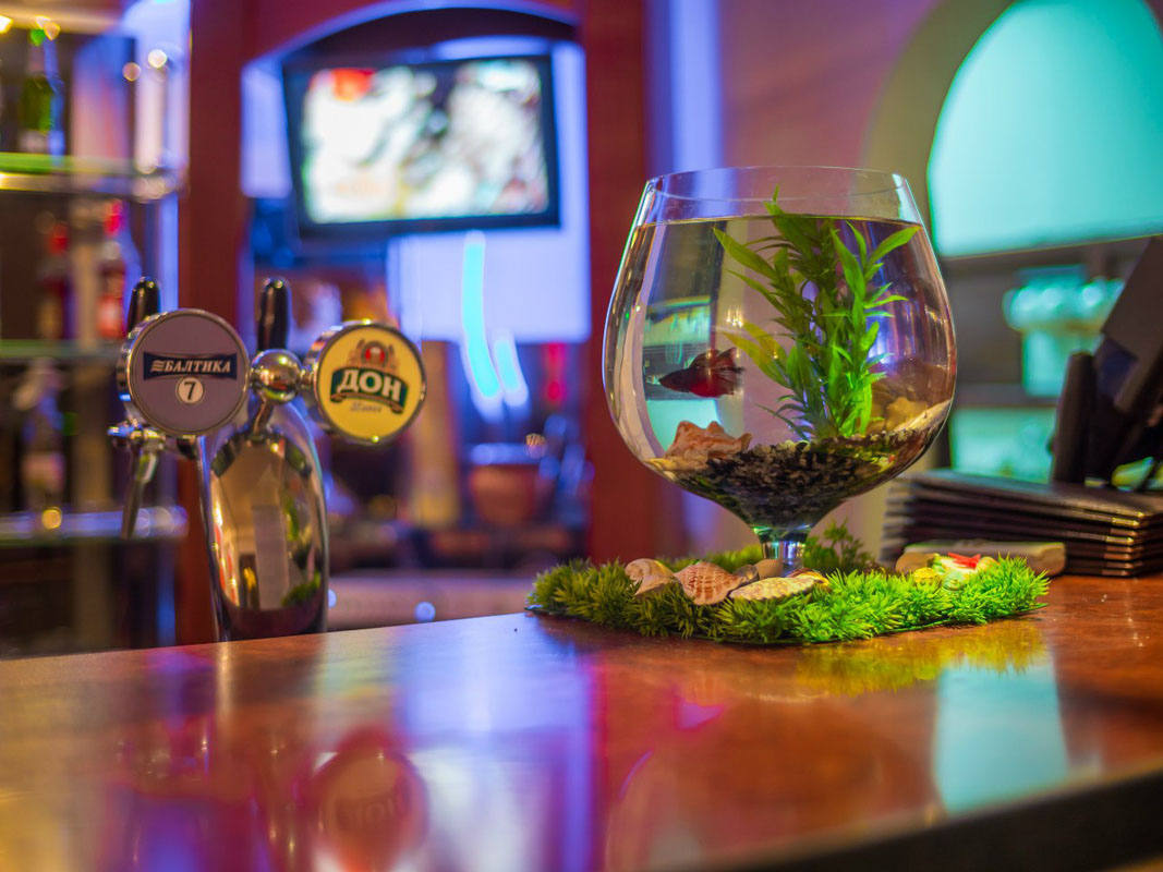 Бар — фото 16