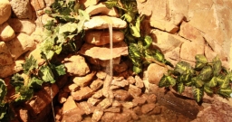 Основной зал — фото 5