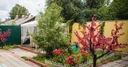 Терраса — фото 4