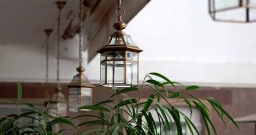 Веранда — фото 5