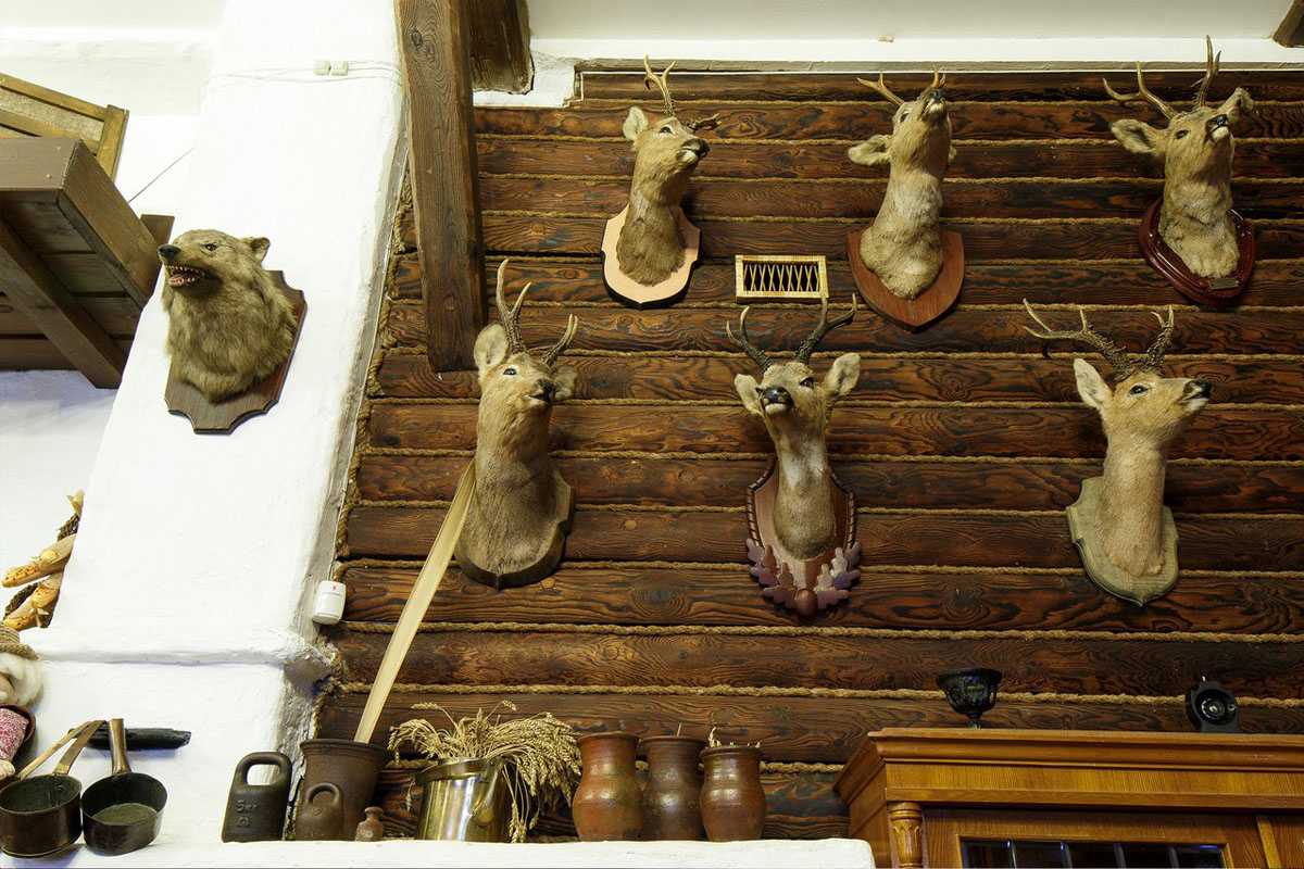 Основной зал — фото 18