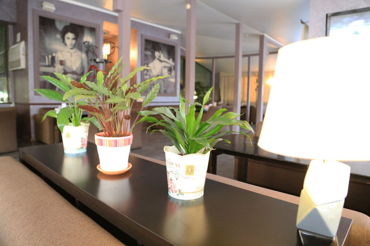 Основной зал — Ресторан Кабуки на улице Свободы