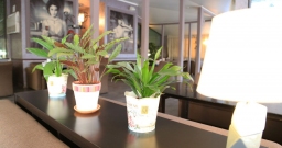 Основной зал — интерьер зала