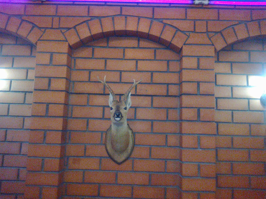 Основной зал — фото 2