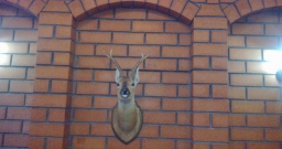 Основной зал — фото 2