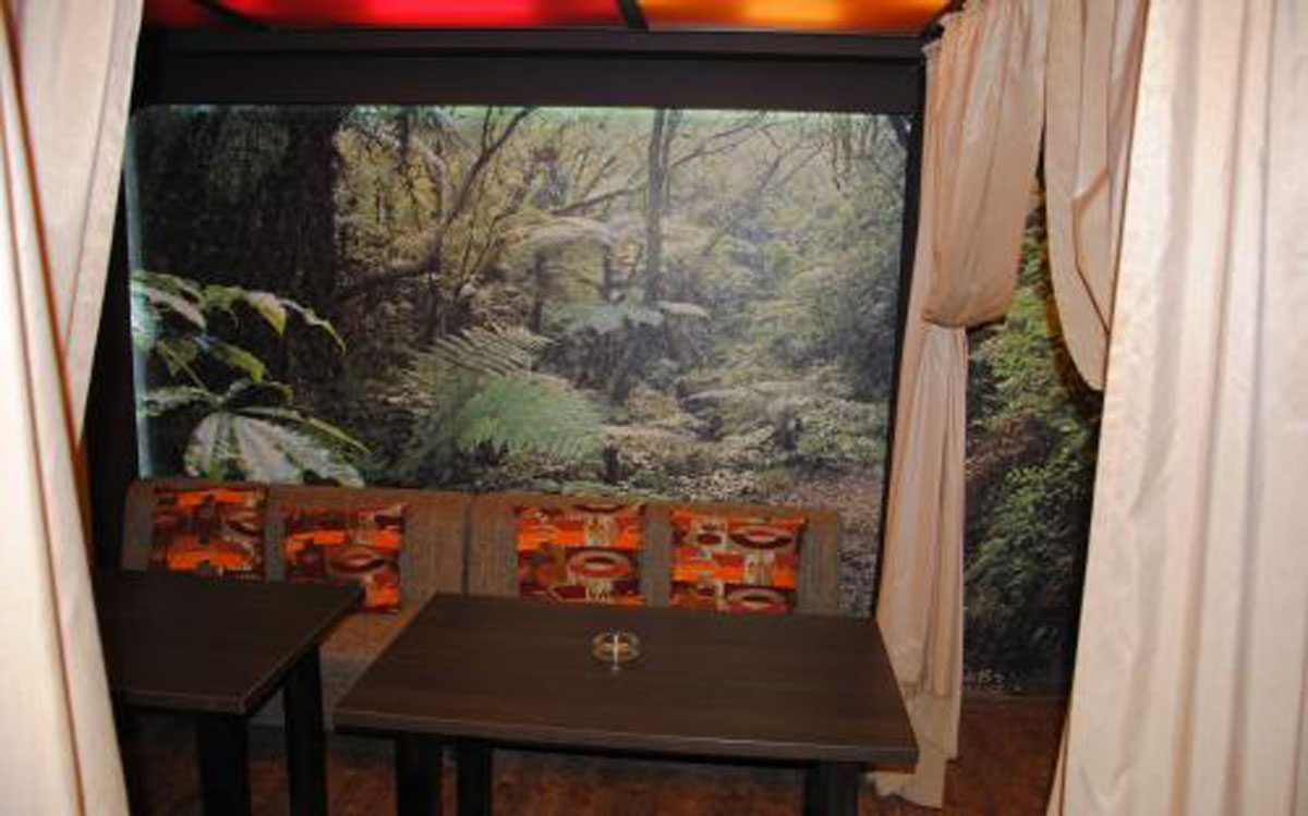 Основной зал — Зебра