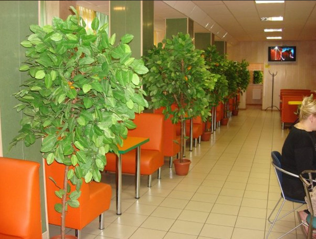 Основной зал — фото 5