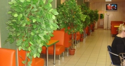 Основной зал — фото 5