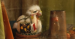 Основной зал — фото 2