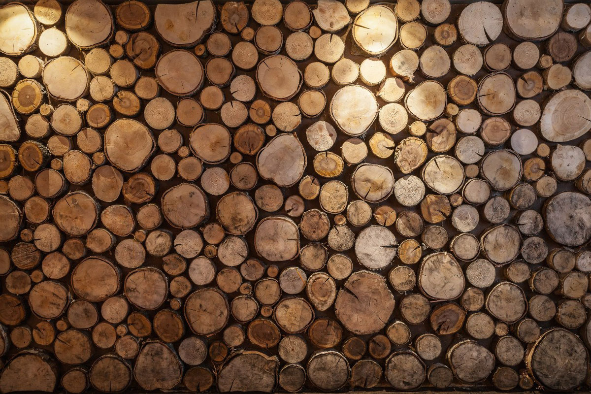 Основной зал — фото 16