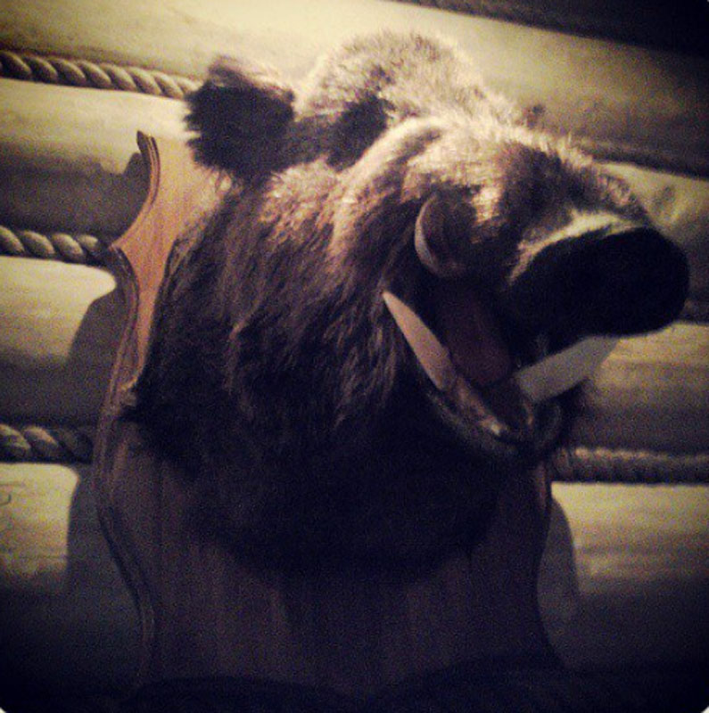 Основной зал — фото 10