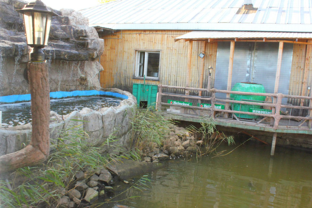 Основной зал — фото 15