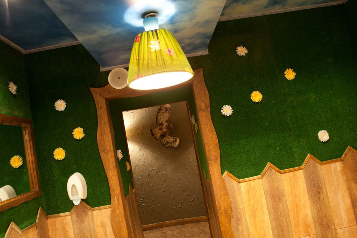 Основной зал — фото 20