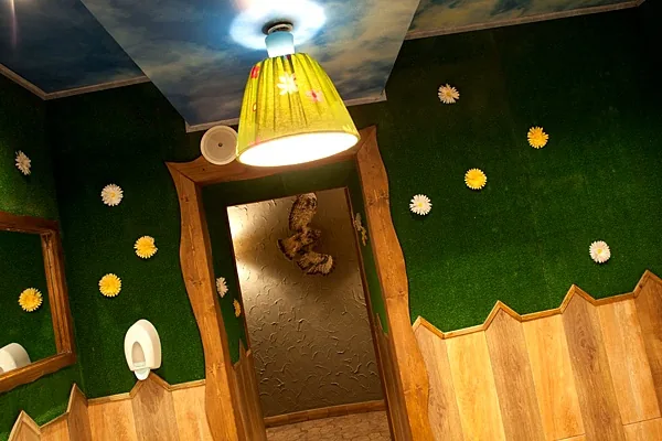 Лисья нора, Основной зал — фото