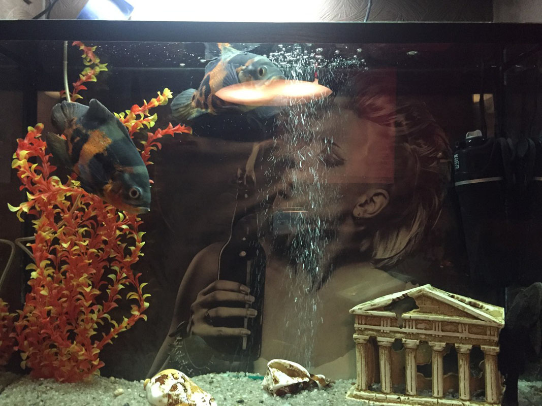 Основной зал — Брутал Бар