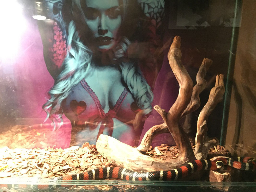 Основной зал — Брутал Бар