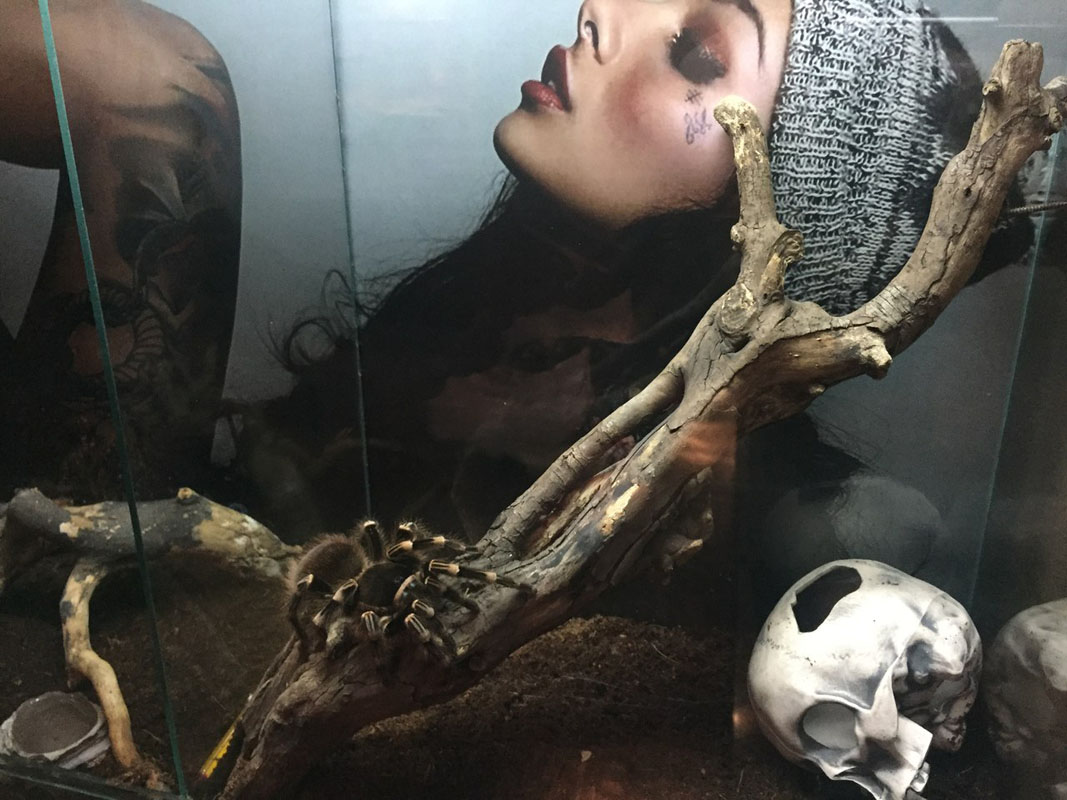 Основной зал — фото 10