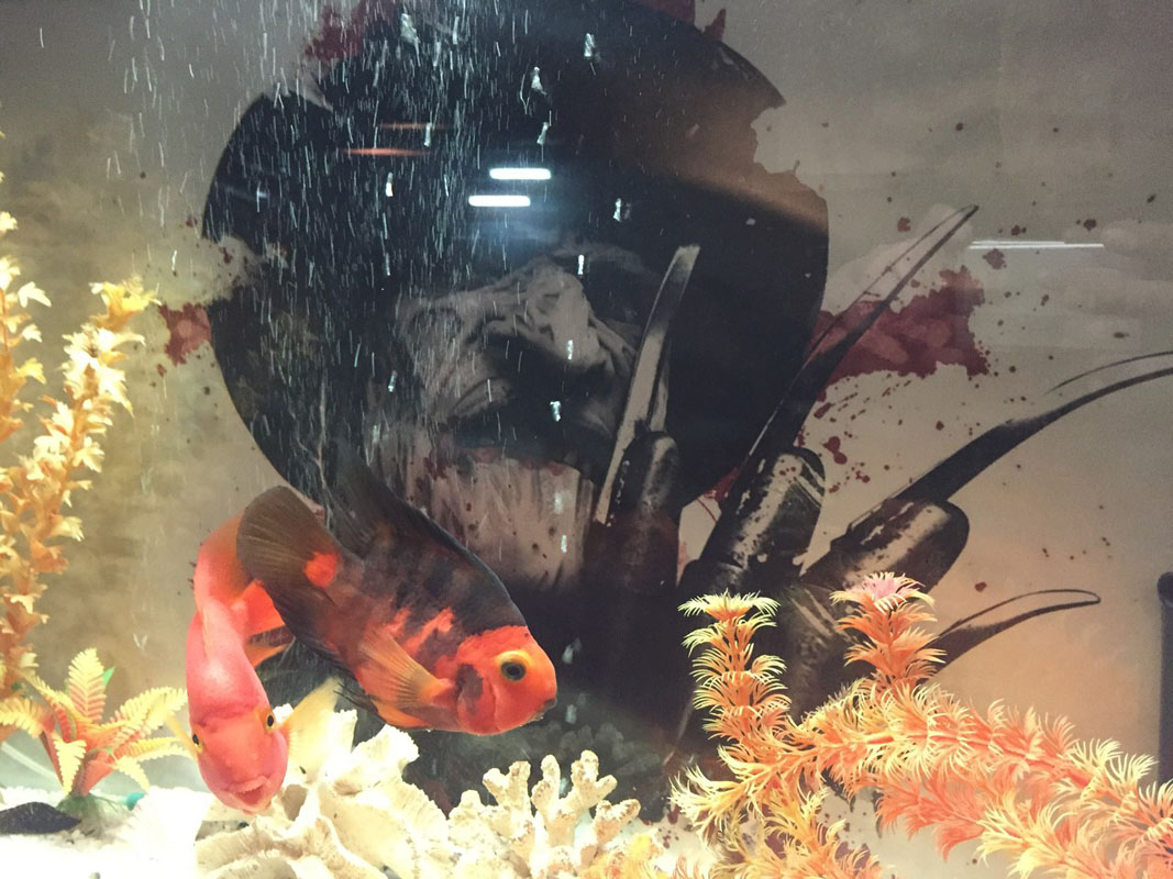 Основной зал — фото 13