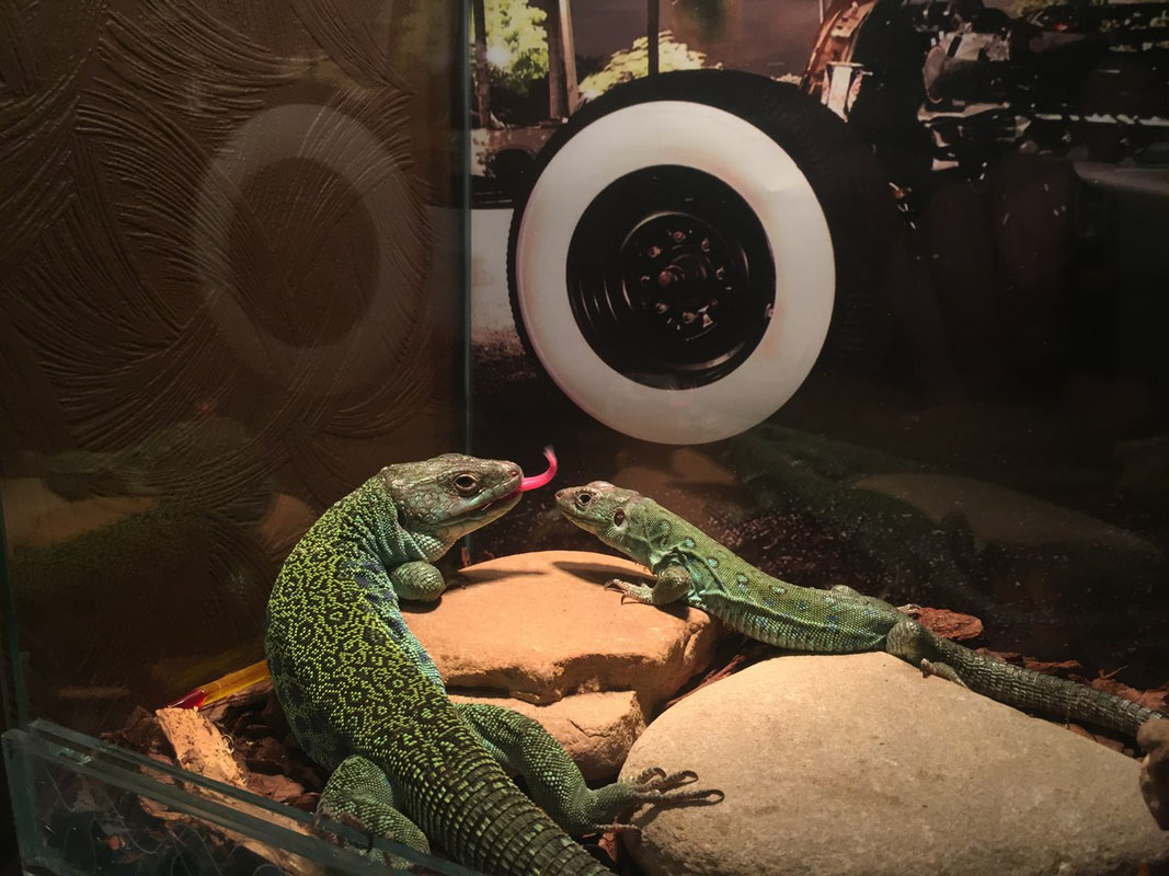 Основной зал — фото 18