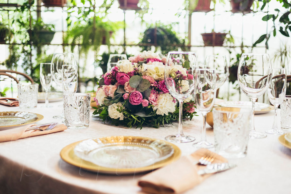 Оранжерея — фото 4