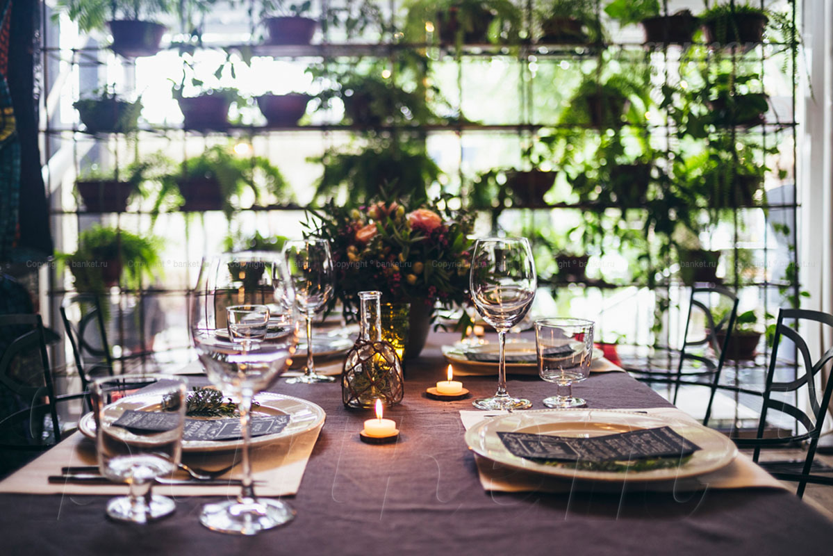 Оранжерея — фото 5