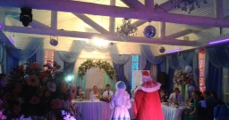 Метелица — интерьер зала