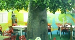 Основной зал — фото 4