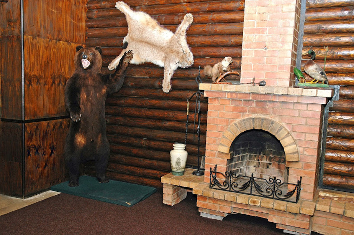 Зал на 20 человек — фото 3