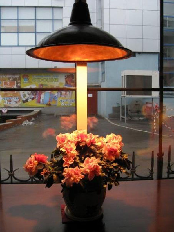 Основной зал — фото 11