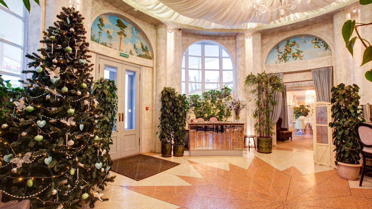 Барная зона — фото 5