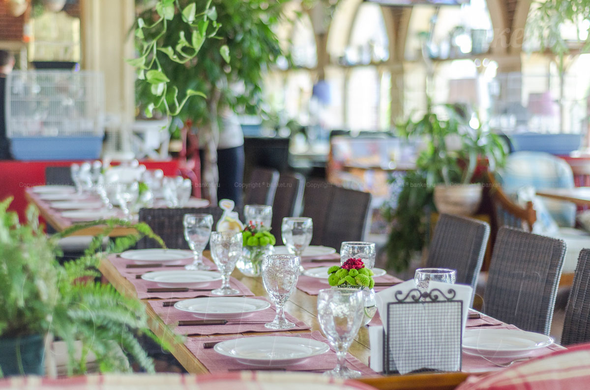 Оранжерея ( 100 чел.) — фото 3