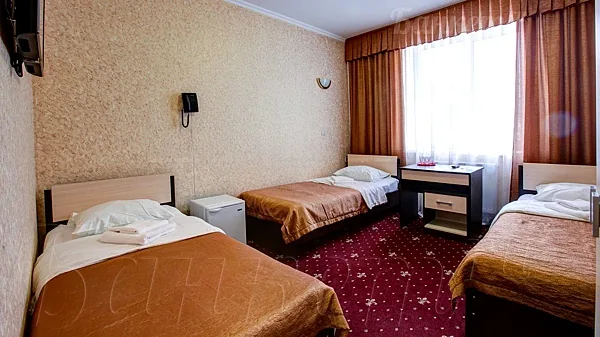Park Hotel Domodedovo / Парк-отель Домодедово, Зимняя веранда — фото