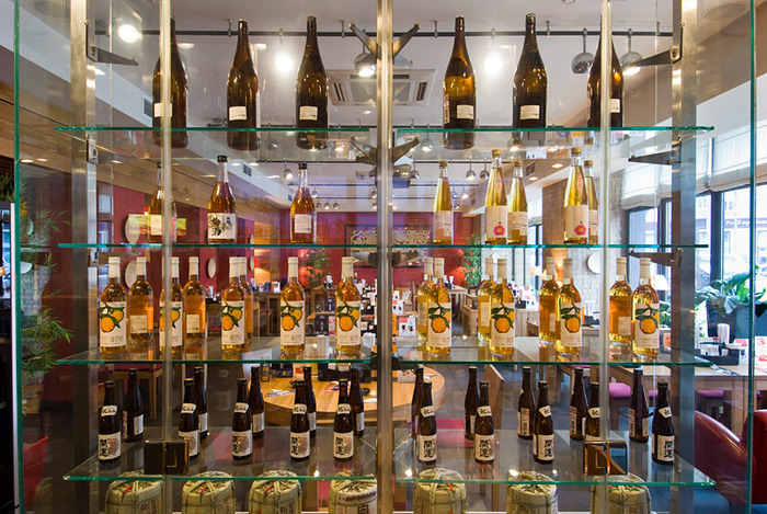 1 — Республика суши