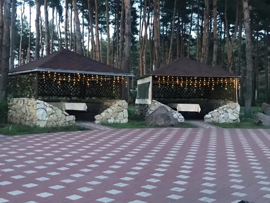 Летняя вернада — фото 4