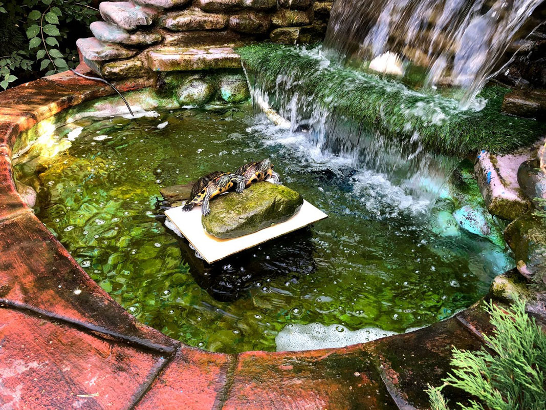 Ресторан — фото 10