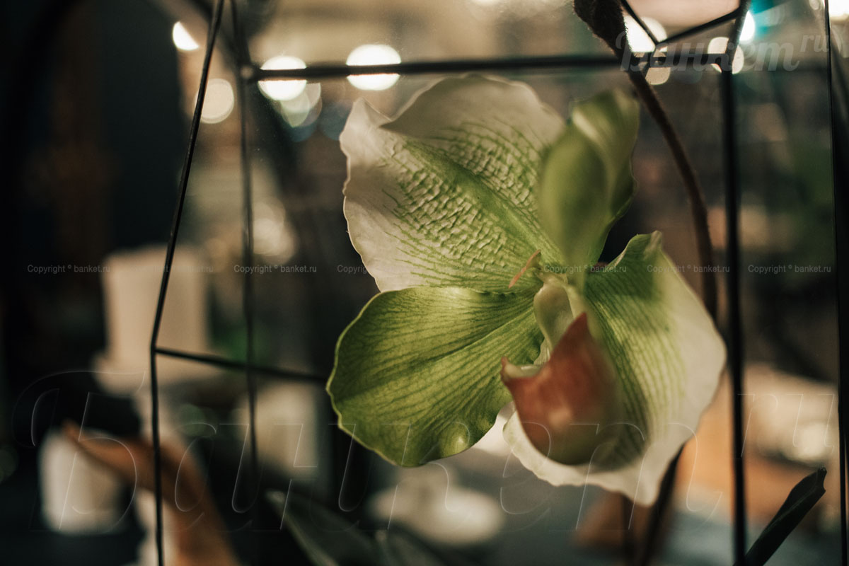 Основной зал — фото 26