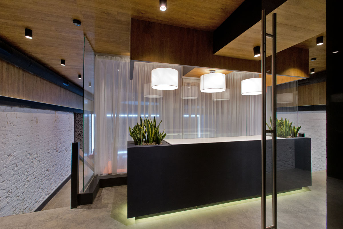 Wow Wow — фото 4