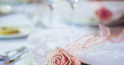 Конгресс парк — фото 5