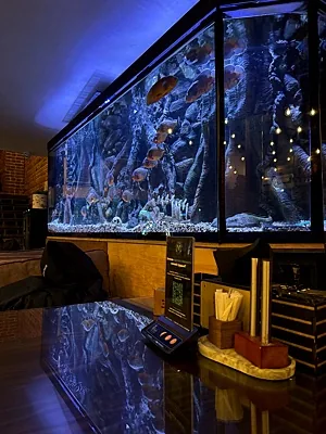 Мята Lounge, Зал — фото