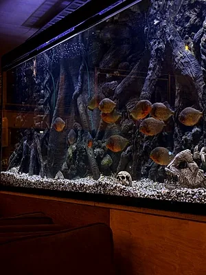 Мята Lounge, Зал — фото