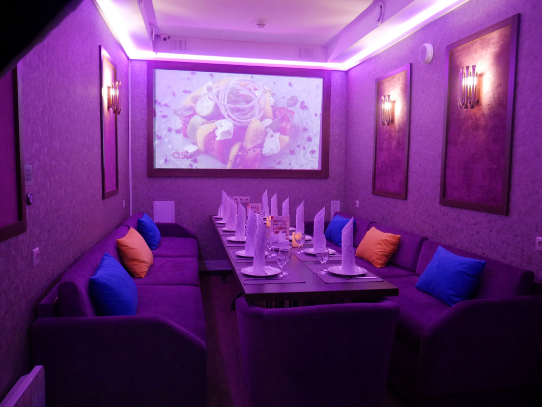 VIP зал караоке — фото 2