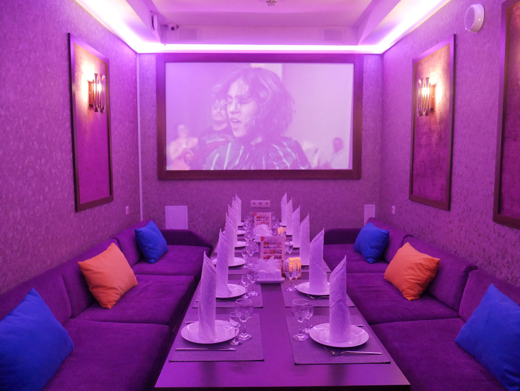 VIP зал караоке — фото 4