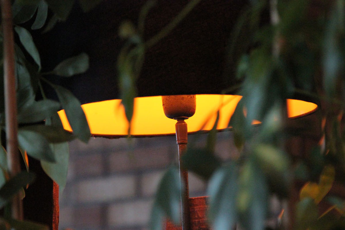 Зимний сад — фото 21